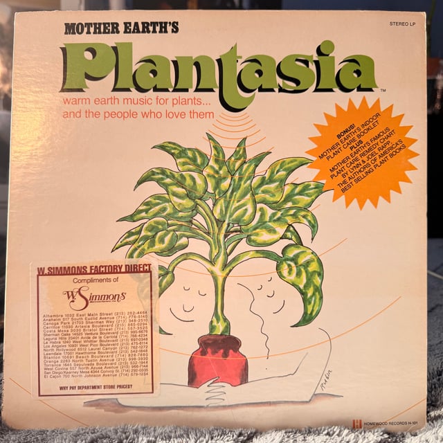 Vinyl platen waarde: ontdek wat jouw platen echt waard zijn